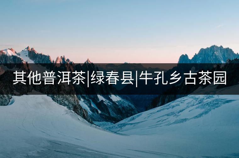 其他普洱茶|綠春縣|牛孔鄉古茶園 其他普洱茶|綠春縣|牛孔鄉古茶園