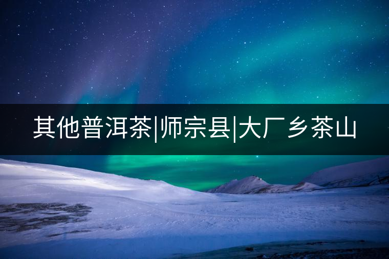 其他普洱茶|師宗縣|大廠鄉(xiāng)茶山 其他普洱茶|師宗縣|大廠鄉(xiāng)茶山