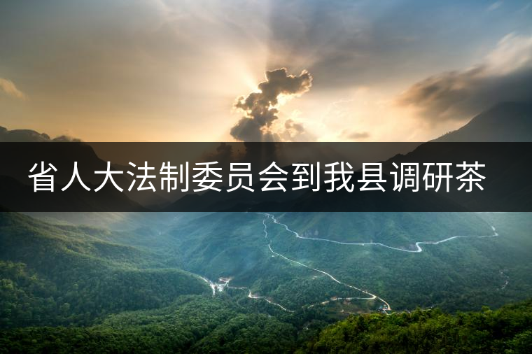 省人大法制委員會到我縣調研茶產業發展情況 省人大法制委員會到我縣調研茶產業發展情況