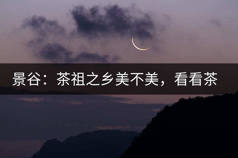 景谷:茶祖之鄉美不美,看看茶山和美人 景谷:茶祖之鄉美不美,看看茶山和美人