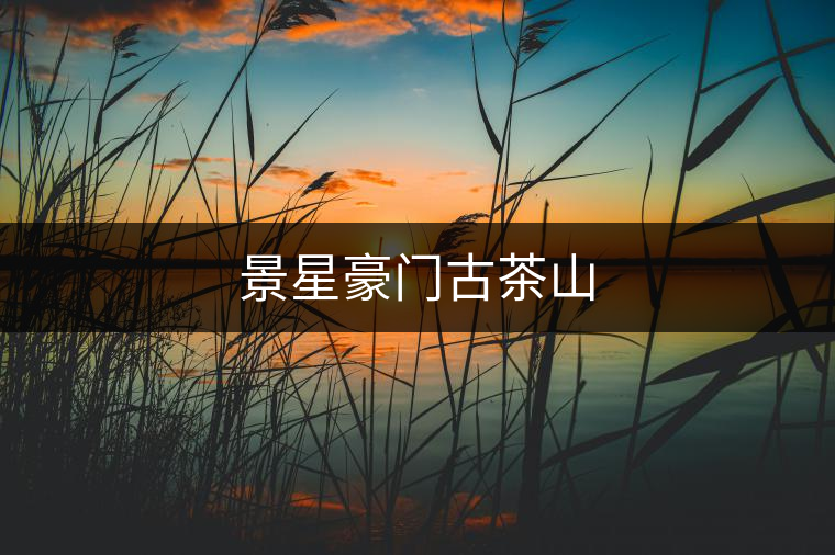 景星豪門古茶山 景星豪門古茶山