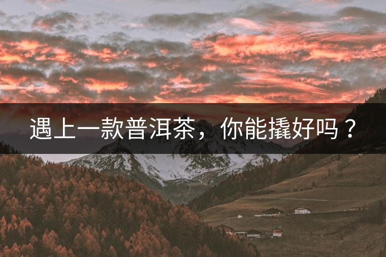 遇上一款普洱茶，你能撬好嗎 ？
