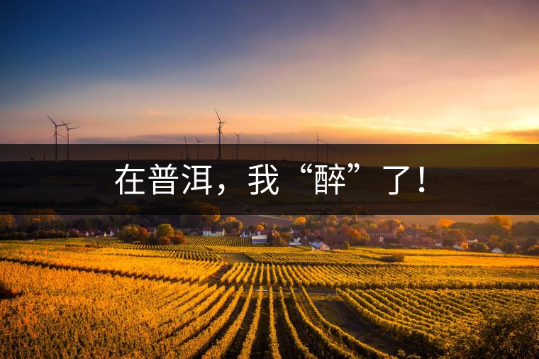 在普洱,我“醉”了! 在普洱,我“醉”了!