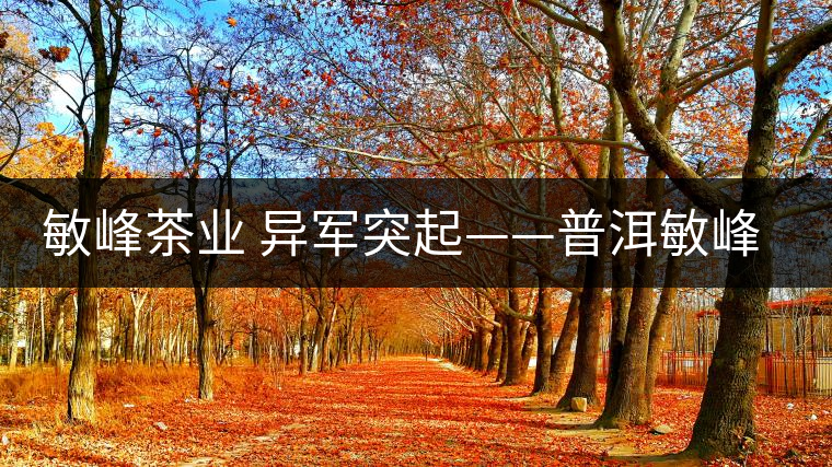 敏峰茶業 異軍突起——普洱敏峰茶業有限公司紀實 敏峰茶業 異軍突起——普洱敏峰茶業有限公司紀實