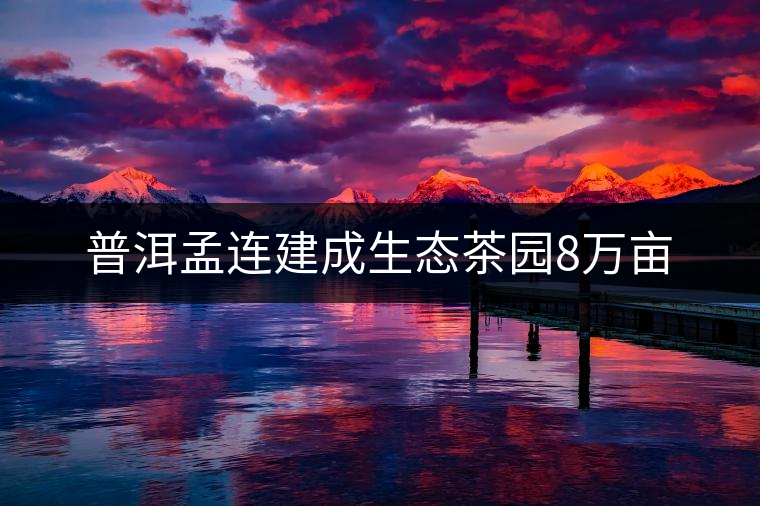 普洱孟連建成生態茶園8萬畝 普洱孟連建成生態茶園8萬畝