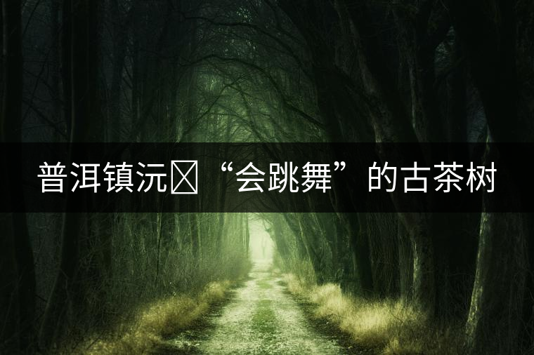 普洱鎮(zhèn)沅?“會跳舞”的古茶樹 普洱鎮(zhèn)沅?“會跳舞”的古茶樹