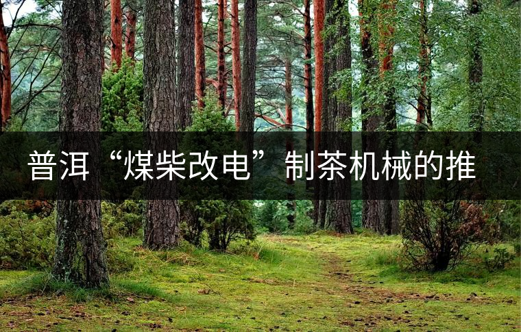 普洱“煤柴改電”制茶機械的推廣者 普洱“煤柴改電”制茶機械的推廣者