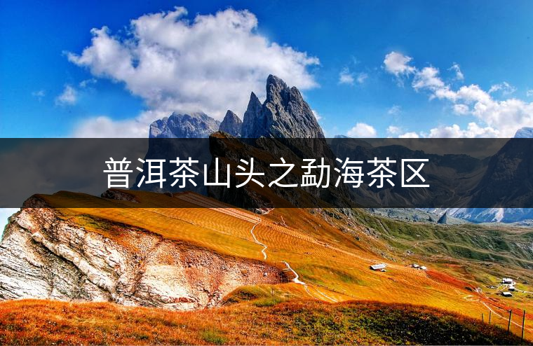 普洱茶山頭之勐海茶區 普洱茶山頭之勐海茶區