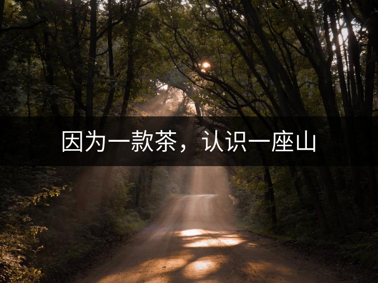 因?yàn)橐豢畈瑁J(rèn)識(shí)一座山 因?yàn)橐豢畈瑁J(rèn)識(shí)一座山