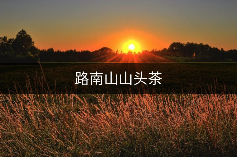 路南山山頭茶