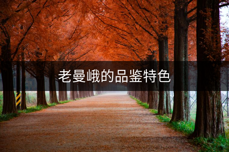 老曼峨的品鑒特色 老曼峨的品鑒特色