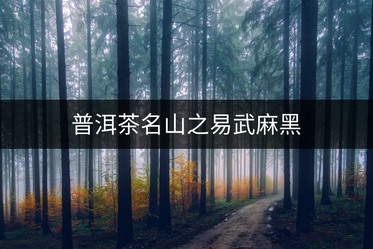 普洱茶名山之易武麻黑 普洱茶名山之易武麻黑