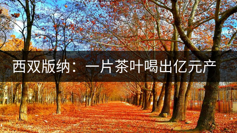 西雙版納:一片茶葉喝出億元產業 西雙版納:一片茶葉喝出億元產業