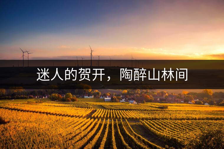 迷人的賀開，陶醉山林間