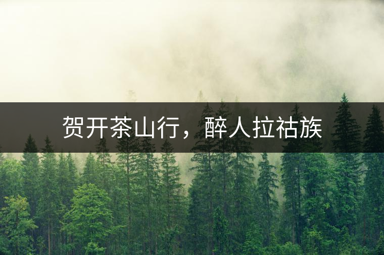 賀開茶山行,醉人拉祜族 賀開茶山行,醉人拉祜族