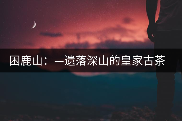 困鹿山:—遺落深山的皇家古茶園 困鹿山:—遺落深山的皇家古茶園