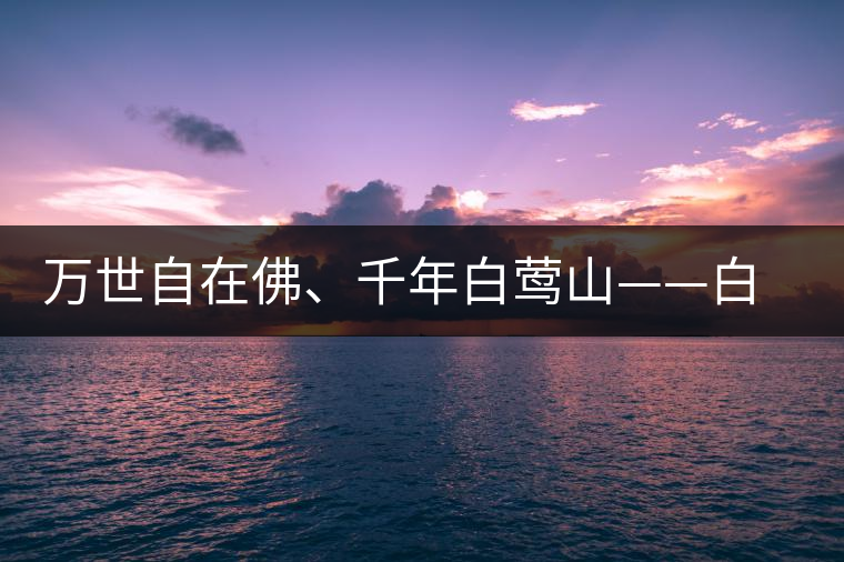 萬世自在佛、千年白鶯山——白鶯山古樹茶特點 萬世自在佛、千年白鶯山——白鶯山古樹茶特點