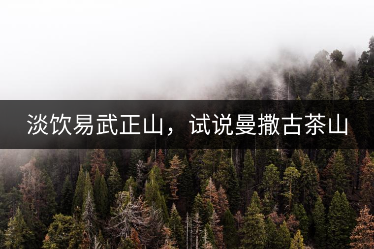 淡飲易武正山,試說曼撒古茶山 淡飲易武正山,試說曼撒古茶山