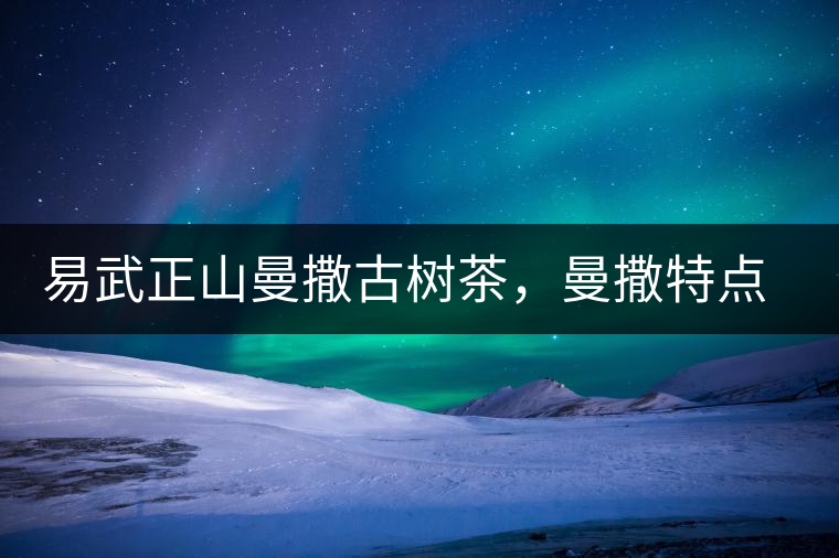 易武正山曼撒古樹茶,曼撒特點分享介紹 易武正山曼撒古樹茶,曼撒特點分享介紹