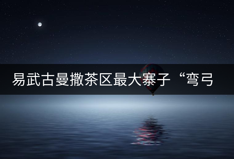 易武古曼撒茶區最大寨子“彎弓”丁家寨茶山實錄 易武古曼撒茶區最大寨子“彎弓”丁家寨茶山實錄