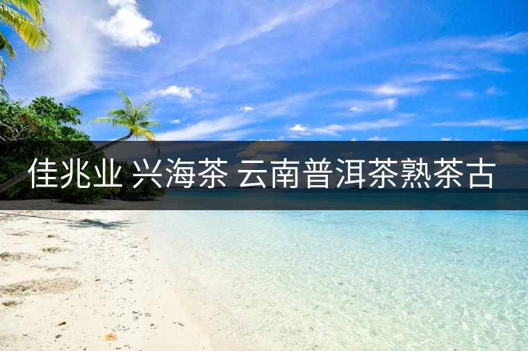 佳兆業 興海茶 云南普洱茶熟茶古樹小沱茶勐海茶葉小粒裝60g 佳兆業 興海茶 云南普洱茶熟茶古樹小沱茶勐海茶葉小粒裝60g