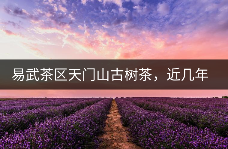 易武茶區(qū)天門山古樹茶,近幾年的熱門山頭 易武茶區(qū)天門山古樹茶,近幾年的熱門山頭