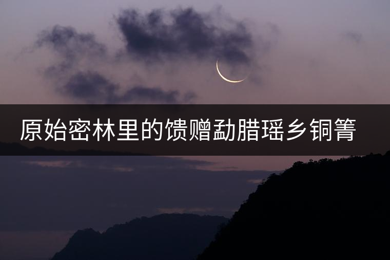 原始密林里的饋贈勐臘瑤鄉銅箐河古樹茶