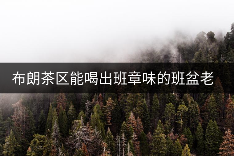 布朗茶區(qū)能喝出班章味的班盆老寨你知道嗎? 布朗茶區(qū)能喝出班章味的班盆老寨你知道嗎?