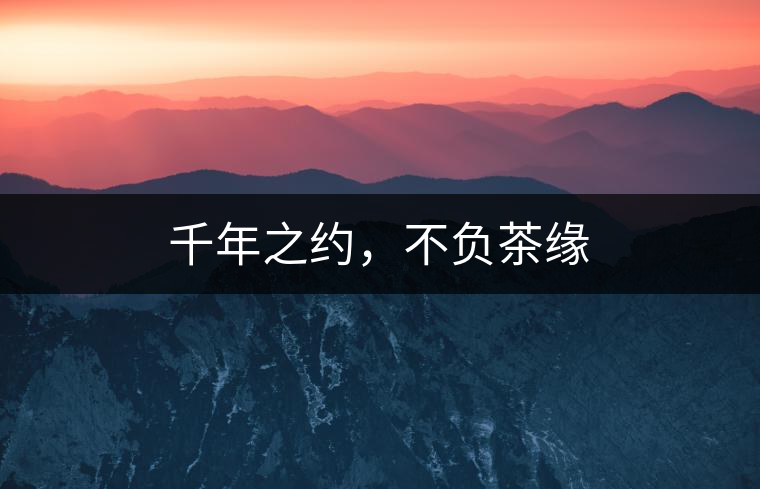 千年之約,不負茶緣 千年之約,不負茶緣