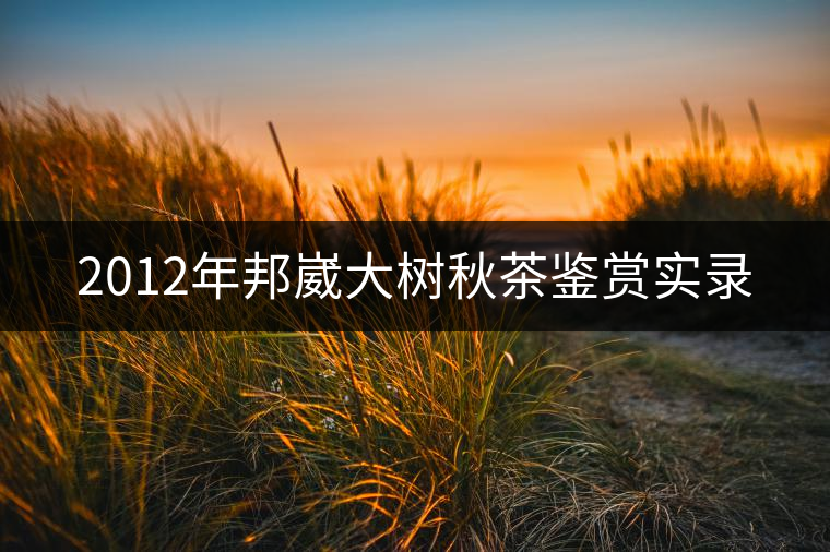 2012年邦崴大樹秋茶鑒賞實錄 2012年邦崴大樹秋茶鑒賞實錄