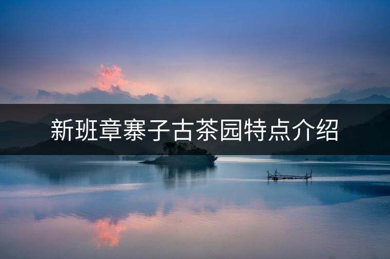 新班章寨子古茶園特點介紹 新班章寨子古茶園特點介紹