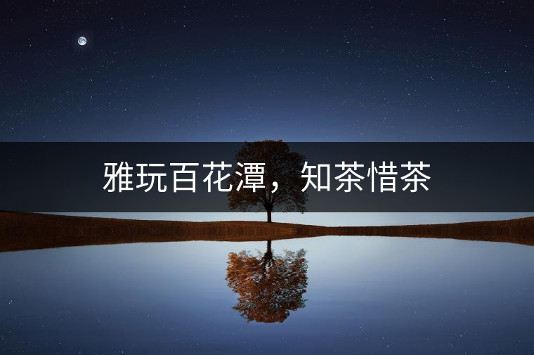 雅玩百花潭,知茶惜茶 雅玩百花潭,知茶惜茶