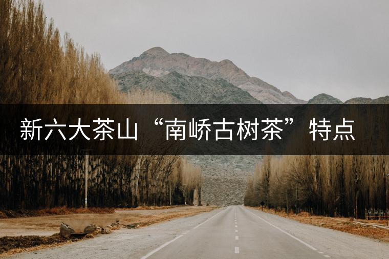 新六大茶山“南嶠古樹茶”特點介紹 新六大茶山“南嶠古樹茶”特點介紹