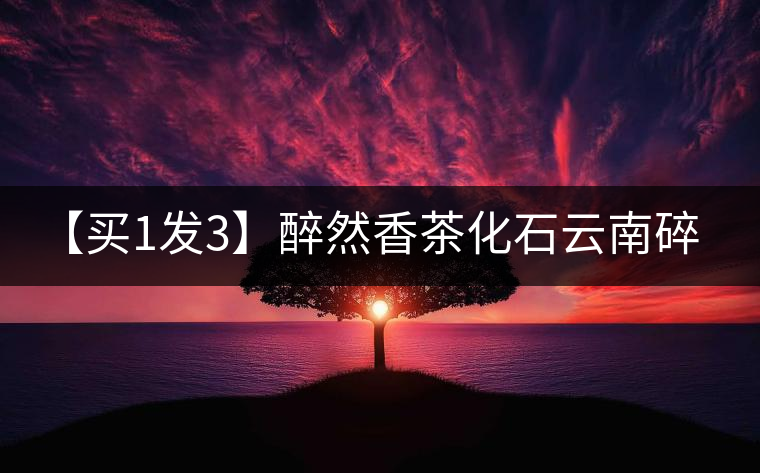 【買1發3】醉然香茶化石云南碎銀子普洱茶古樹茶糯米香茶葉共375g