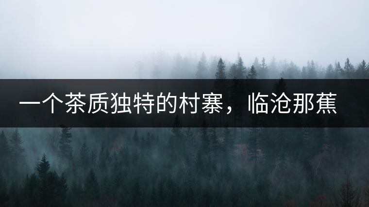 一個(gè)茶質(zhì)獨(dú)特的村寨,臨滄那蕉古樹茶介紹 一個(gè)茶質(zhì)獨(dú)特的村寨,臨滄那蕉古樹茶介紹