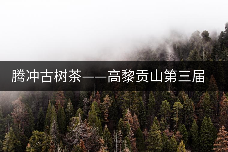 騰沖古樹茶——高黎貢山第三屆茶文化節 騰沖古樹茶——高黎貢山第三屆茶文化節