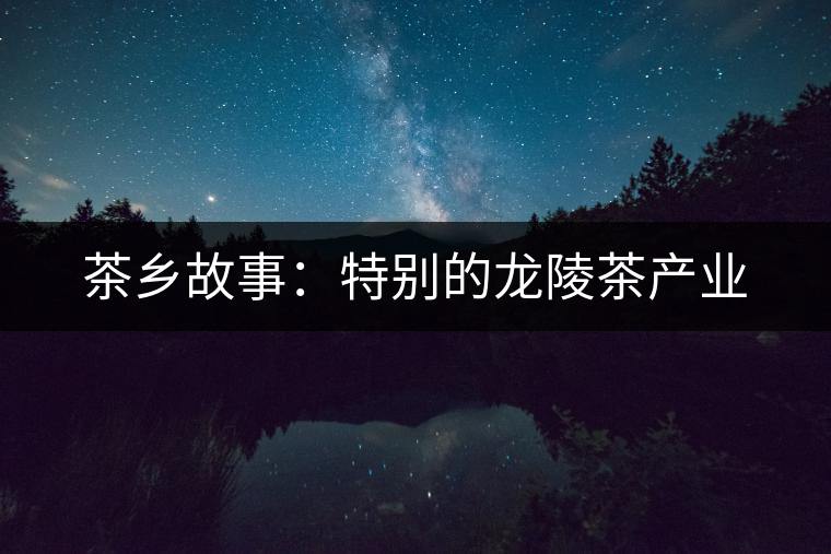 茶鄉故事:特別的龍陵茶產業 茶鄉故事:特別的龍陵茶產業