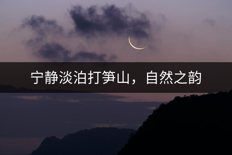 寧?kù)o淡泊打筍山，自然之韻