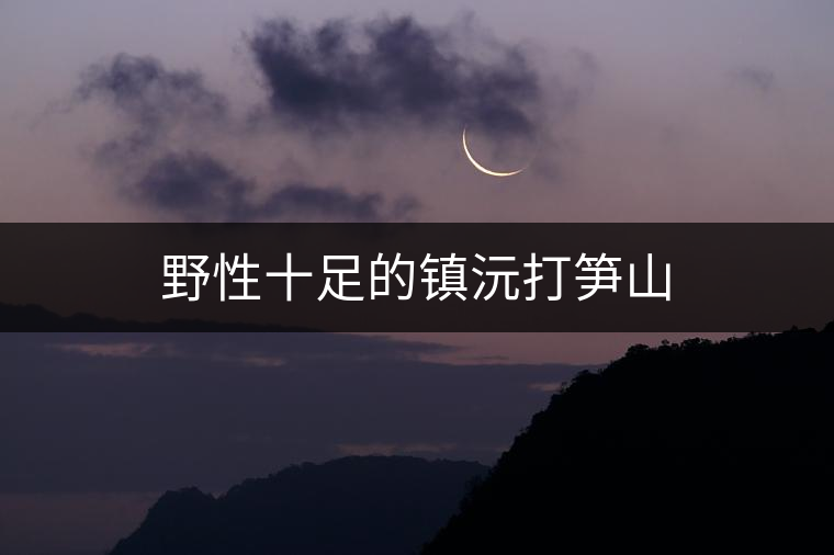 野性十足的鎮沅打筍山