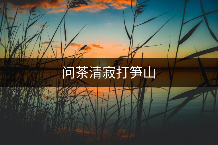 問茶清寂打筍山