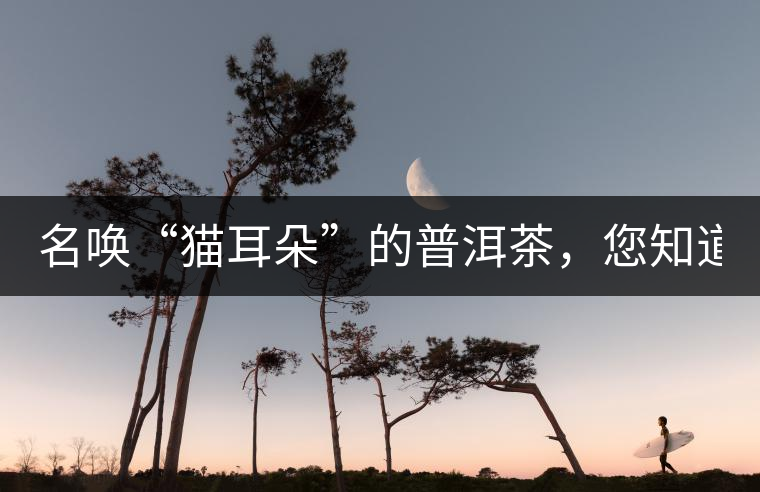 名喚“貓耳朵”的普洱茶,您知道嗎、 名喚“貓耳朵”的普洱茶,您知道嗎、