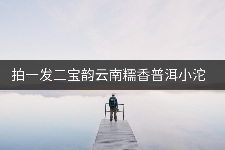 拍一發二寶韻云南糯香普洱小沱茶熟茶迷你小金沱茶茶葉糯米香濃香 拍一發二寶韻云南糯香普洱小沱茶熟茶迷你小金沱茶茶葉糯米香濃香