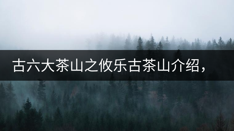 古六大茶山之攸樂古茶山介紹,攸樂古樹茶口感特點 古六大茶山之攸樂古茶山介紹,攸樂古樹茶口感特點