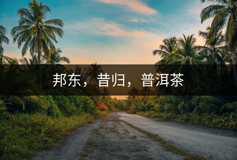 邦東,昔歸,普洱茶 邦東,昔歸,普洱茶