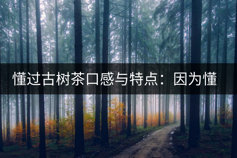 懂過古樹茶口感與特點:因為懂得,所以舍得用余生來珍惜! 懂過古樹茶口感與特點:因為懂得,所以舍得用余生來珍惜!