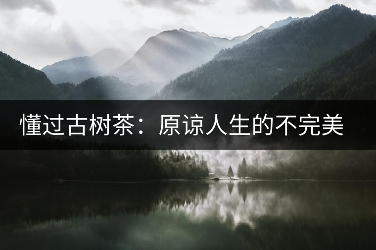 懂過古樹茶:原諒人生的不完美,多一次心靈的回歸! 懂過古樹茶:原諒人生的不完美,多一次心靈的回歸!