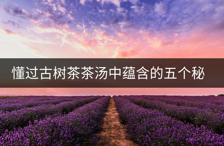 懂過古樹茶茶湯中蘊(yùn)含的五個(gè)秘密 懂過古樹茶茶湯中蘊(yùn)含的五個(gè)秘密