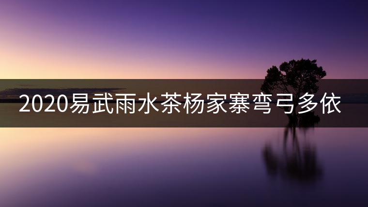2020易武雨水茶楊家寨彎弓多依樹 2020易武雨水茶楊家寨彎弓多依樹