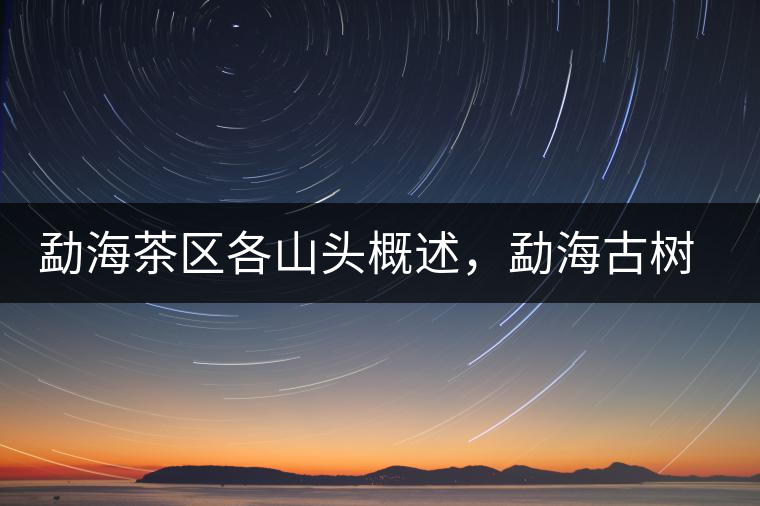 勐海茶區(qū)各山頭概述,勐海古樹(shù)茶口感特點(diǎn) 勐海茶區(qū)各山頭概述,勐海古樹(shù)茶口感特點(diǎn)