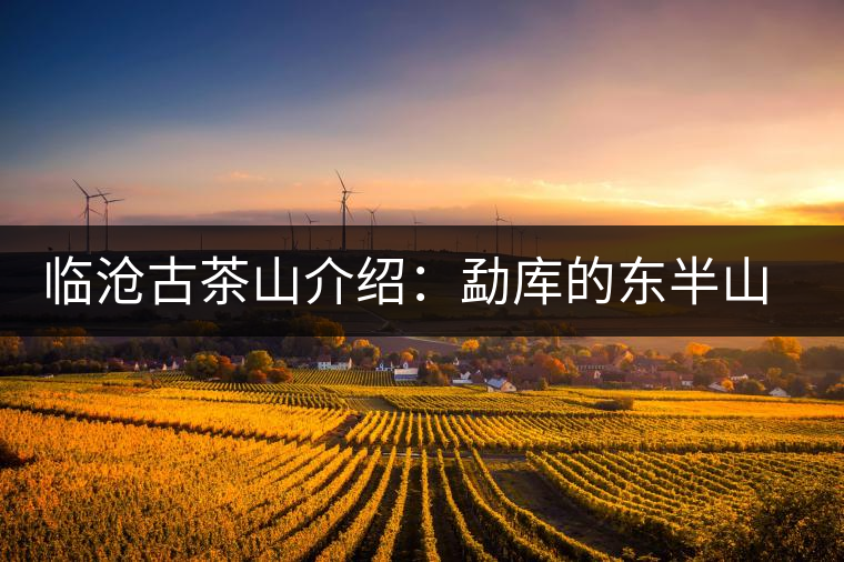 臨滄古茶山介紹:勐庫的東半山與西半山 臨滄古茶山介紹:勐庫的東半山與西半山